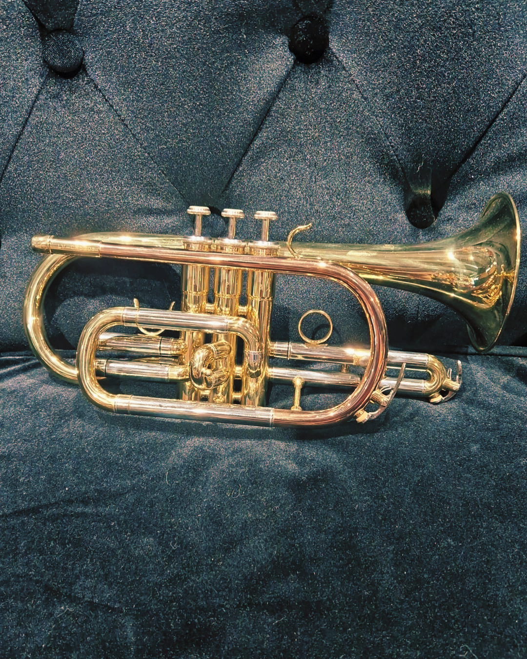CORNET LEVANTE CR5205