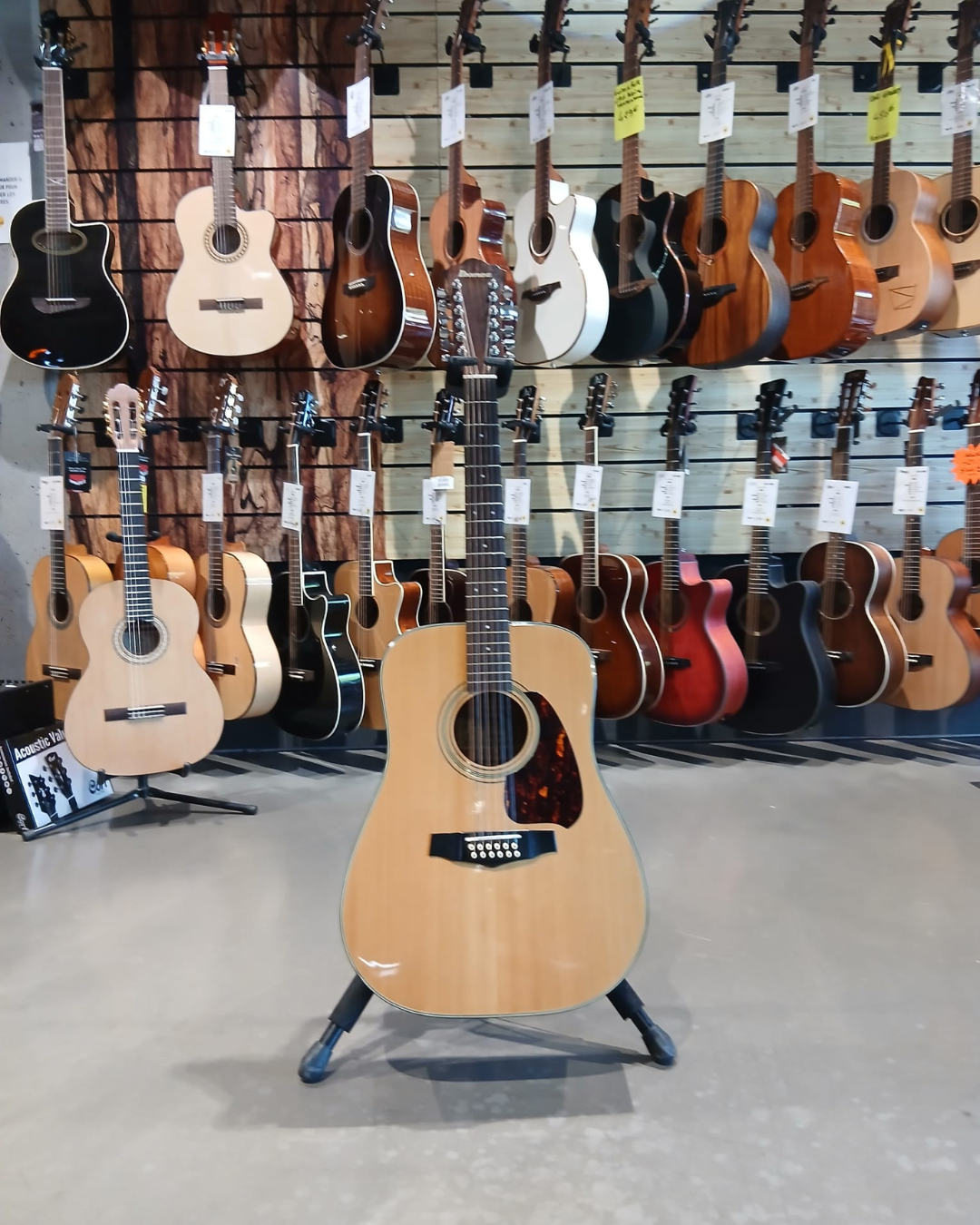 Ibanez V302 12 cordes